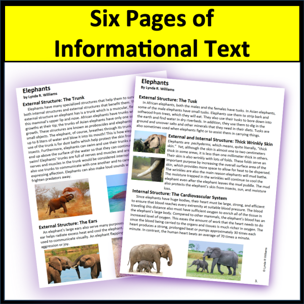 Reading Comprehension Unit on Elephants - Image 2