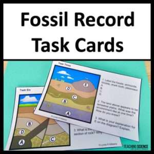 The fossil record task cards