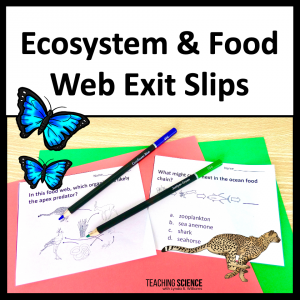 ecosystem and food web