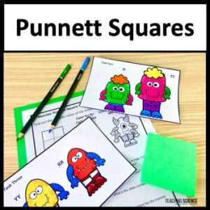 Punnett Squares