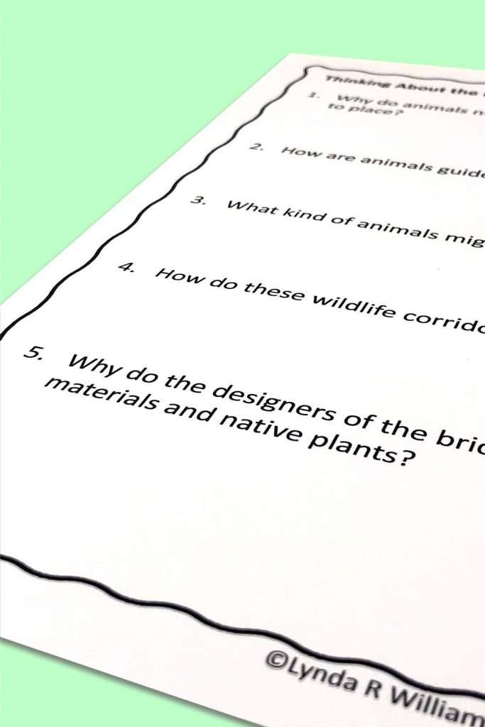 engineering project wildlife bridge 