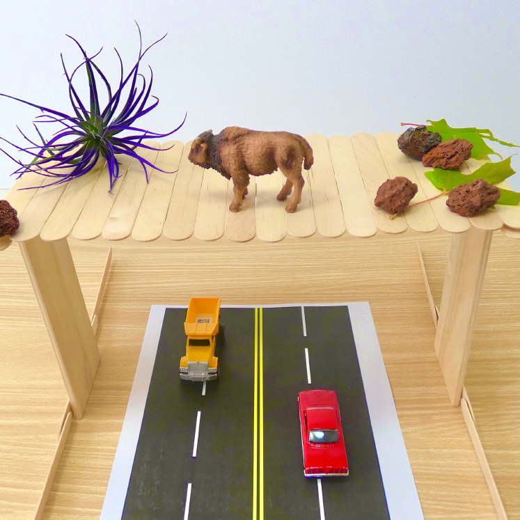 stem challenge build a wildlife bridge 