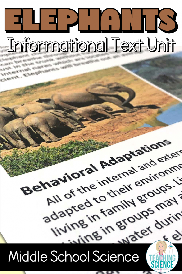 reading passages elephants