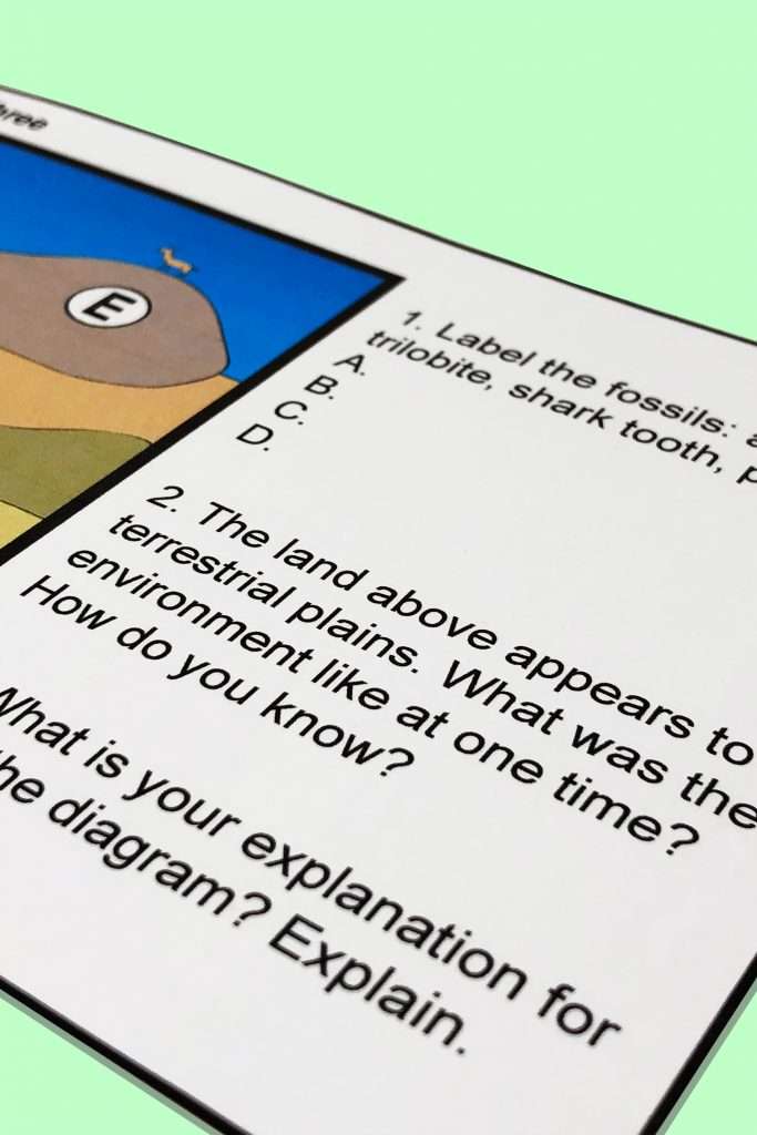 fossil record task cards