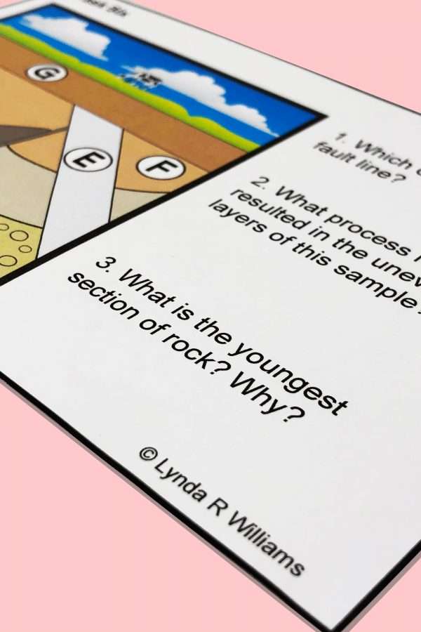 Fossil Record Task Cards