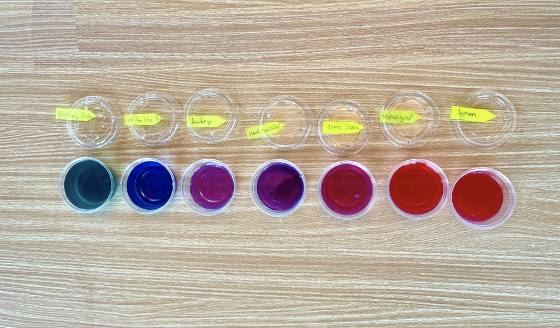 Acids and Bases