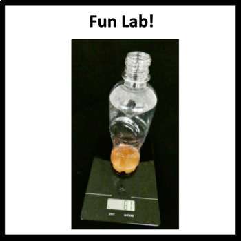 Conservation of Mass