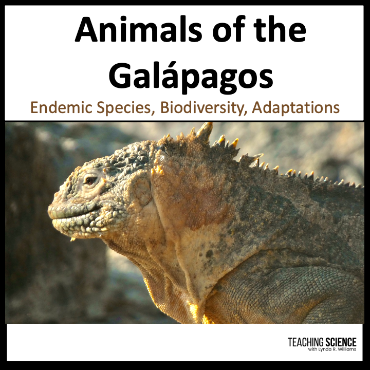 Galapagos Islands animals