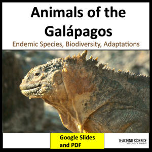 Animals of the Galápagos Islands