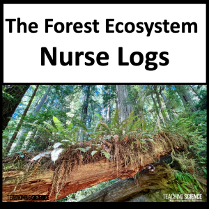Nurse Log in the forest ecosystem