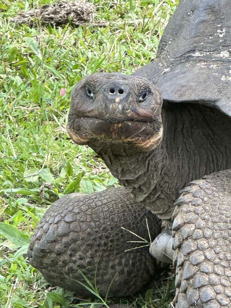 Galapagos Islands earth science