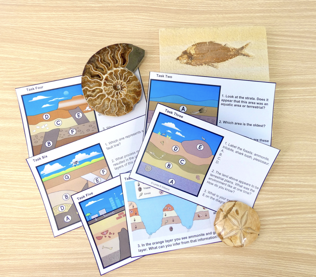 fossil record task cards