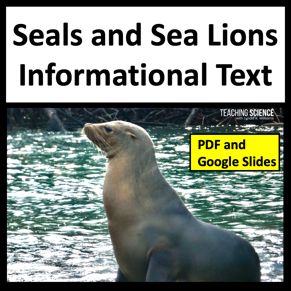 sea lion informational text