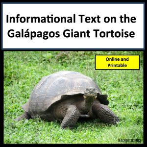 galapagos tortoise