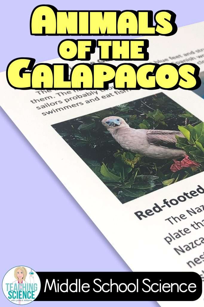 ANIMALS OF THE GAlÁPAGOS ISLANDS