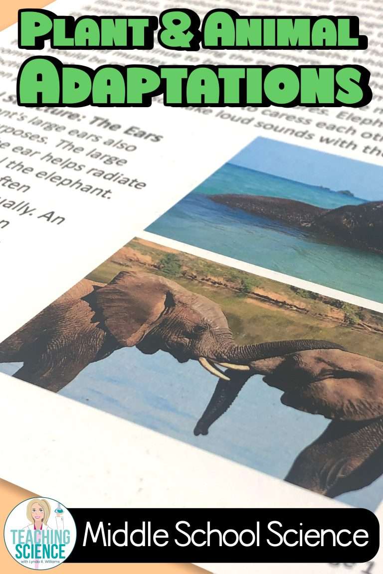 plant and animal adaptations