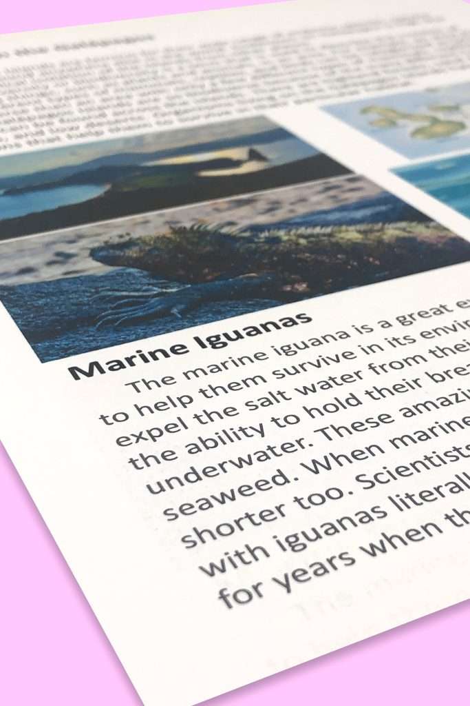 ANIMALS OF THE GAlÁPAGOS ISLANDS