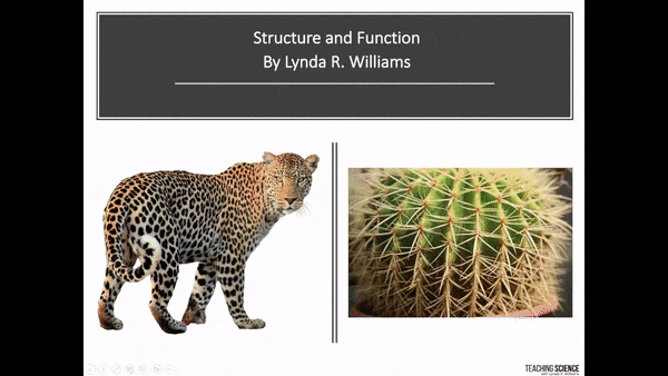 Plant and Animal Adaptations