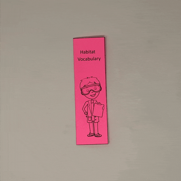 Plant and Animal Adaptations