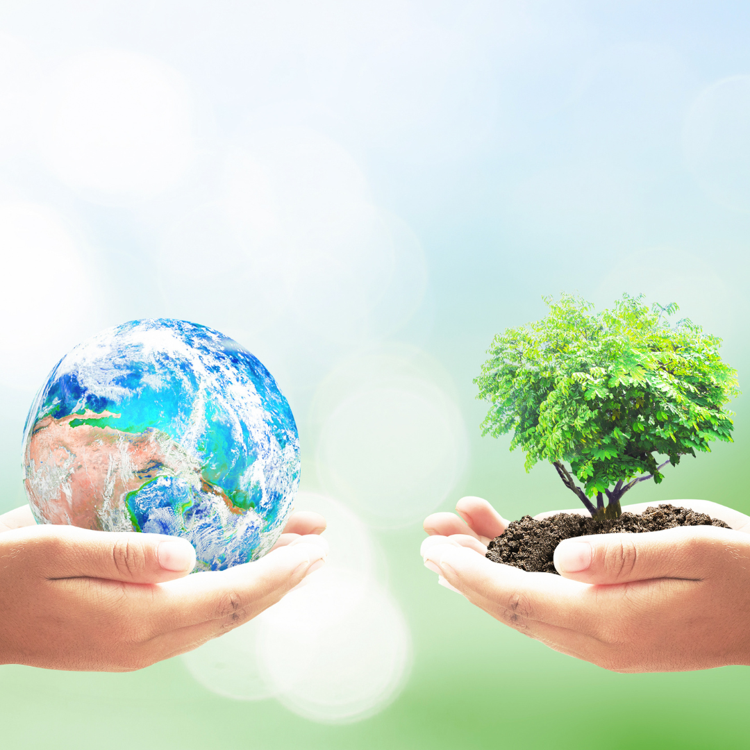 Earth and Human Activity (1)