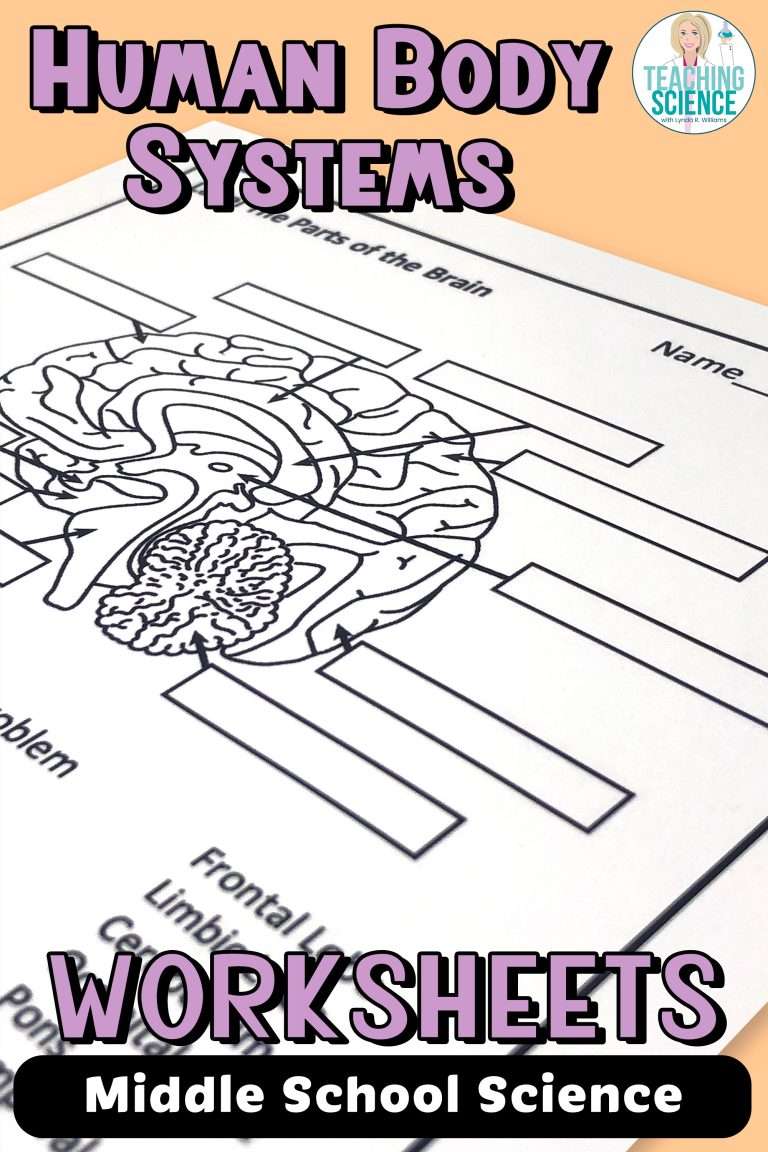 human body systems