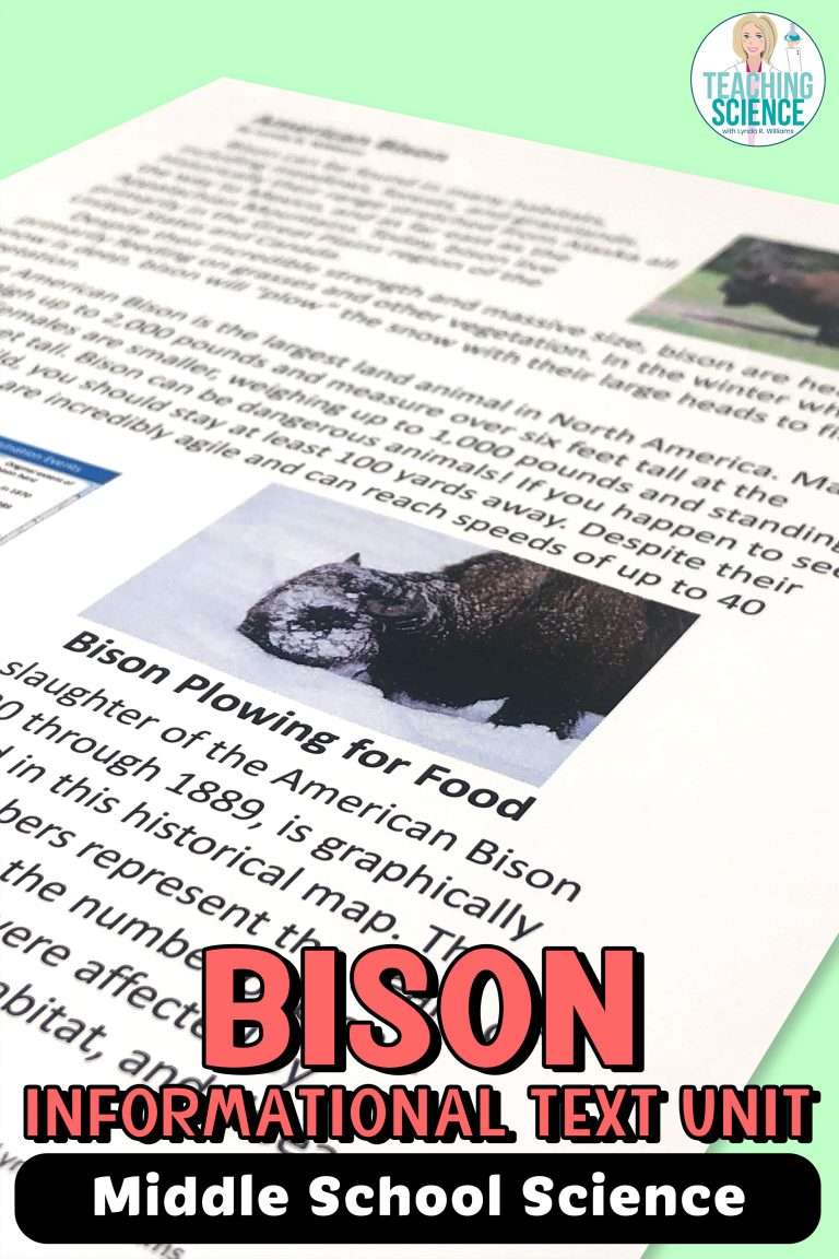 American Bison informational text