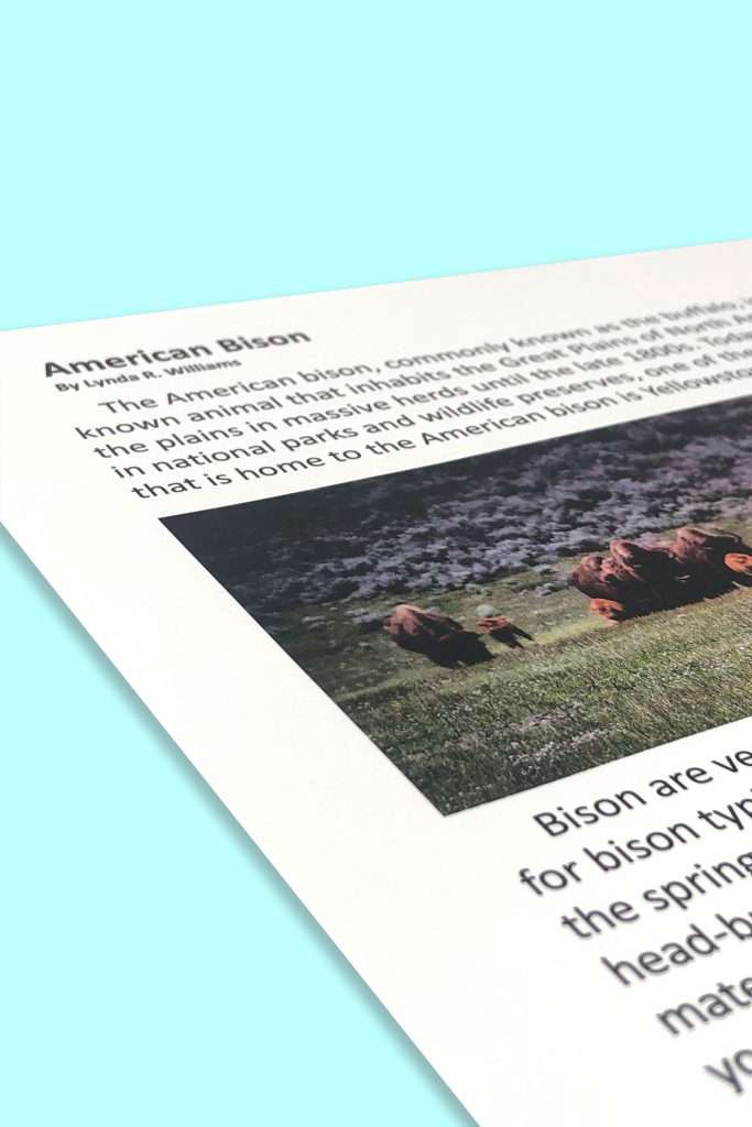 American Bison Informational Text Unit