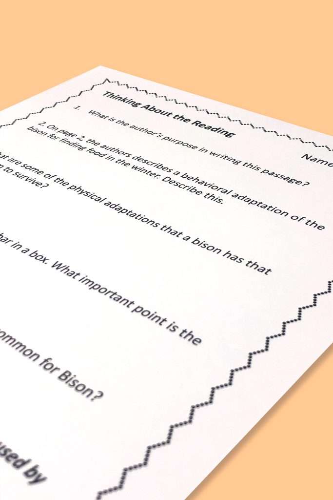 American Bison Comprehension questions