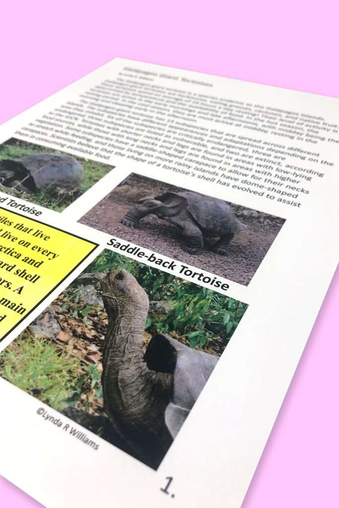 Galapagos Giant Tortoise Informational Text Unit