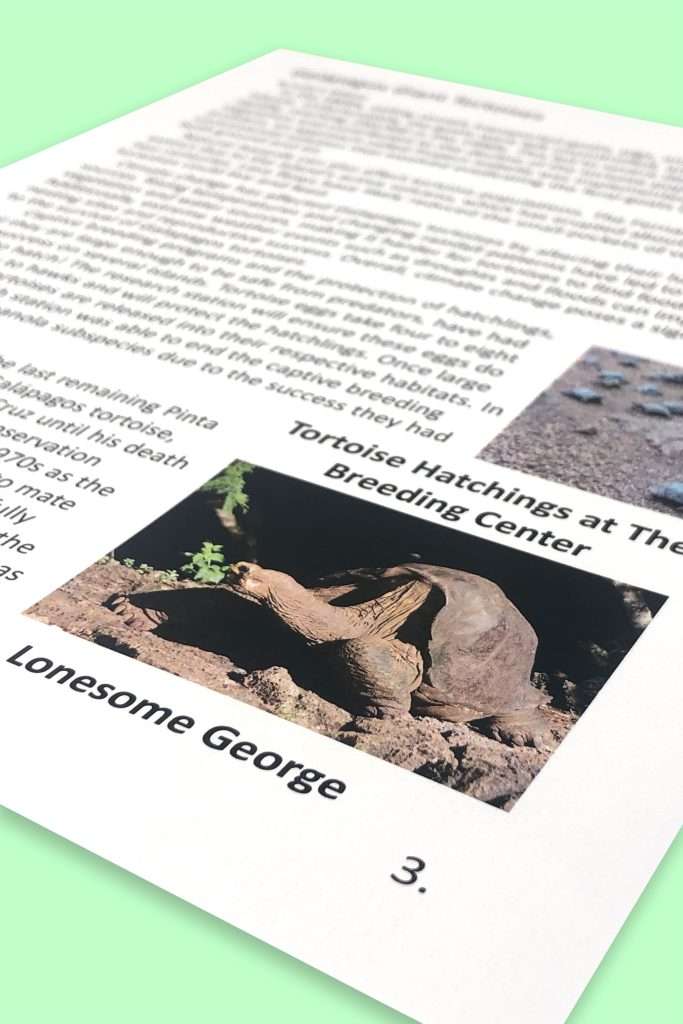 Galapagos Giant Tortoise Informational Text Unit