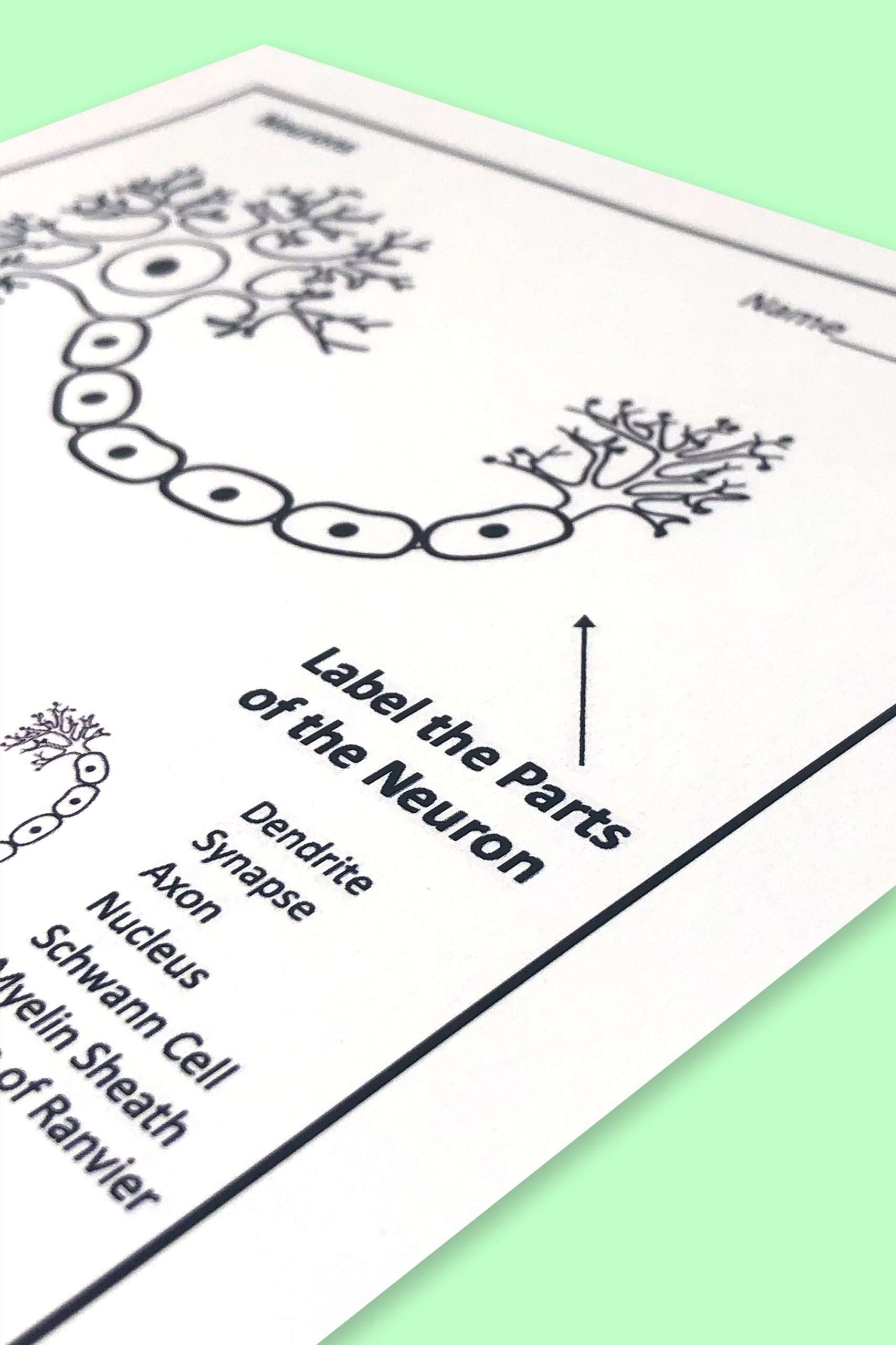 Kentucky Science Standards