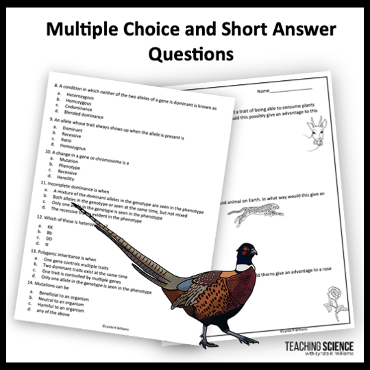 Genetics Assessment - Image 2