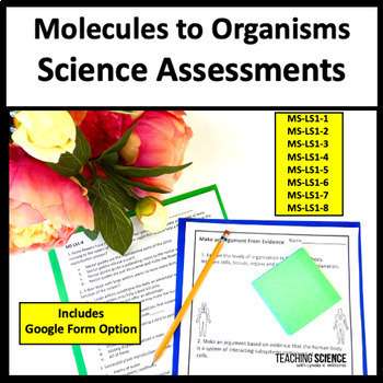 Molecules to Organisms