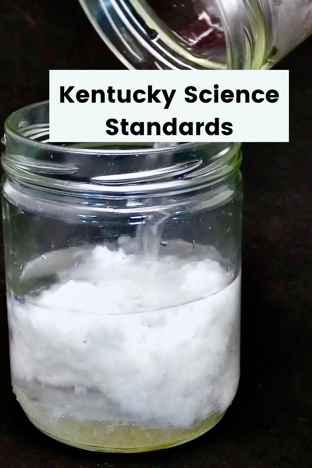 Kentucky Science Standards (Instagram Post (Square)) (1000 × 1500 px)