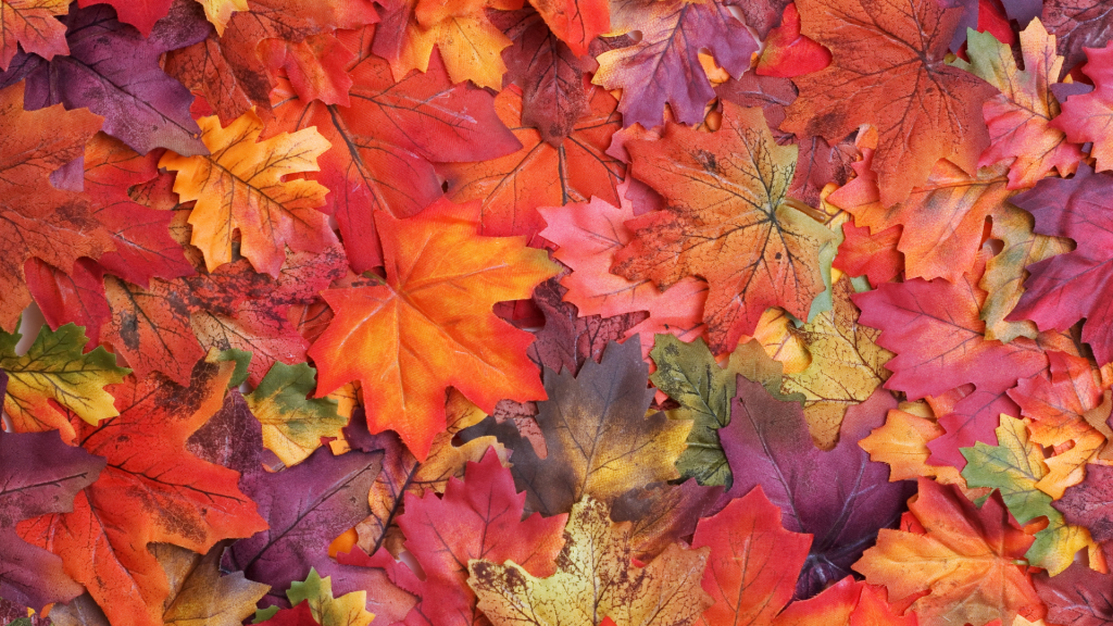 Why do leaves change color in the fall?