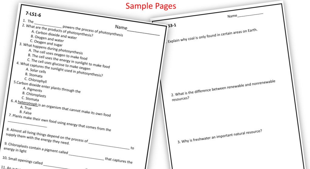 South Carolina Seventh Grade Assessments