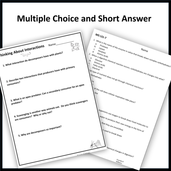 California Integrated Model Seventh Grade Assessments