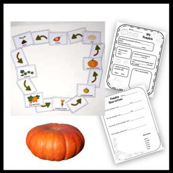 Pumpkin Life Cycle Unit For Kindergarten and First Grade - Image 3