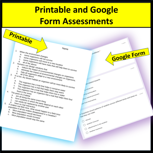 Arizona Fourth Grade Assessments