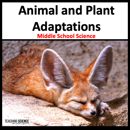NGSS phenomena animal and plant adaptations