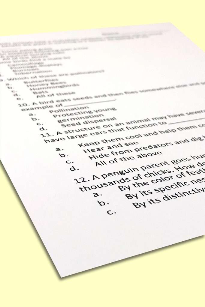 South Carolina College and career readiness standards