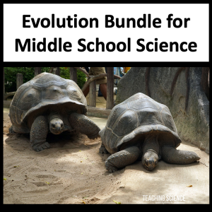 Evolution Bundle