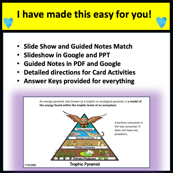 5th Grade Science Test Prep for Ecosystems LS - Image 3