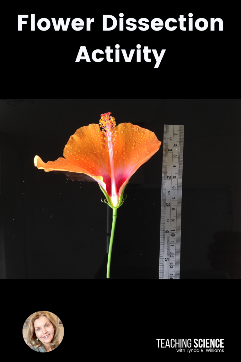 dissecting a flower