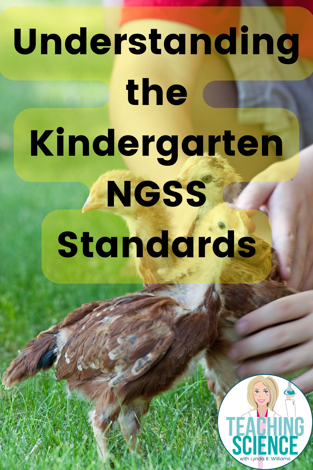 Kindergarten NGSS