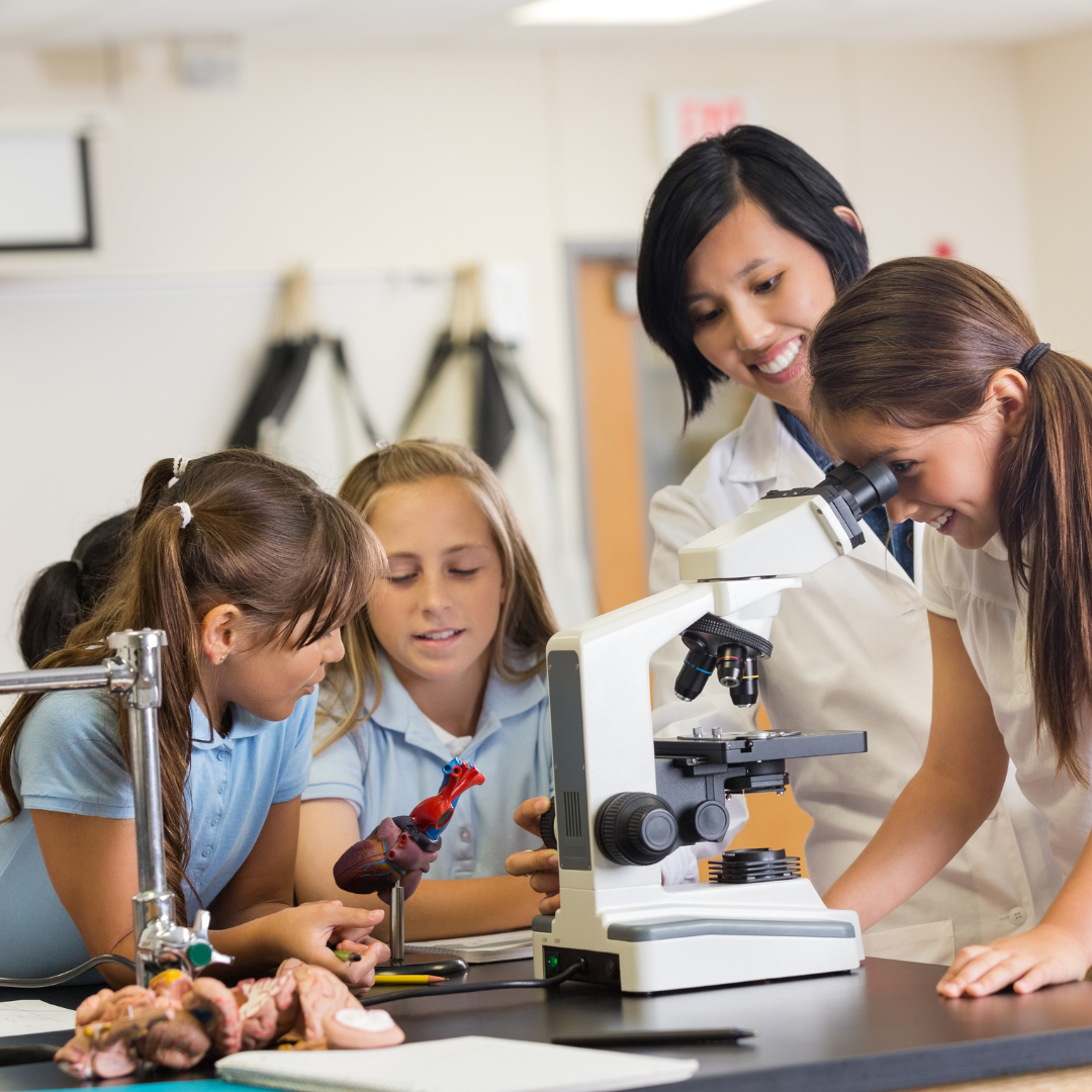 Kindergarten NGSS