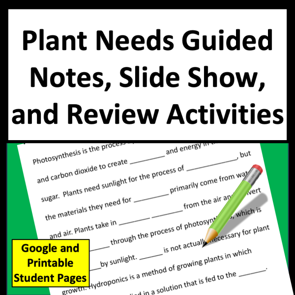 Plant Needs