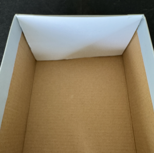 pinhole projector