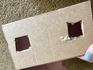 pinhole projector