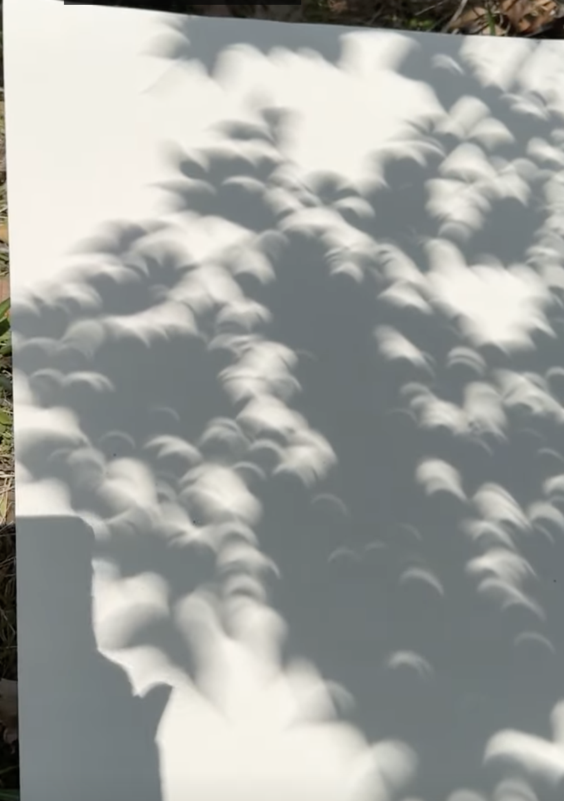 crescent suns crescent suns